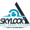 SKYLOCK, Avnon Group - logo