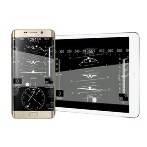 EFIS для самолета 1