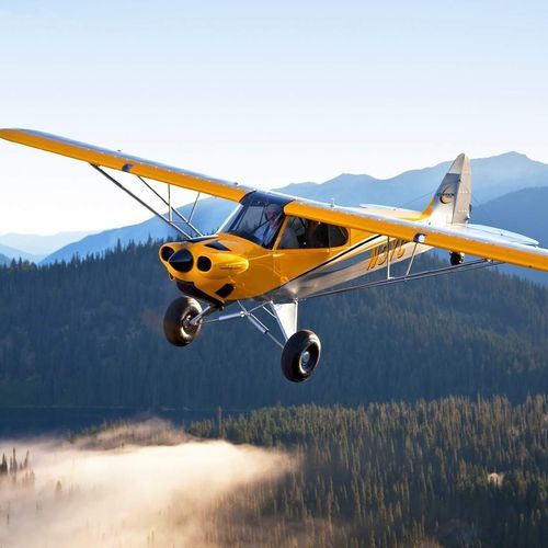 Одномоторный самолет - Carbon Cub EX-2 - HORUS AERO - с поршневым двигателем / двухместный / в комплекте