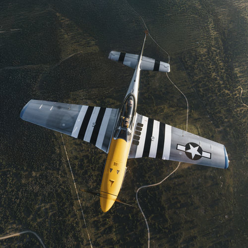 Самолет для воздушной акробатики - SW-51 MUSTANG - ScaleWings Aircraft GmbH - одномоторный / с поршневым двигателем / двухместный