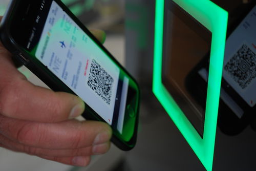 Программное обеспечение для управления пассажирами - CREWS SELF-BOARDING - RESA Airport Data Systems - для контроля / биометрическое / для процесса