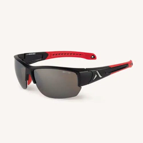 Защитное очки - LANDER - ALTITUDE EYEWEAR - солнечное / для свободного полета