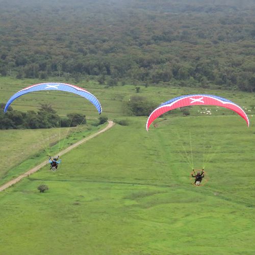 Парус параплана рабочая характеристика - Effect XT - SOL PARAGLIDERS - одноместный
