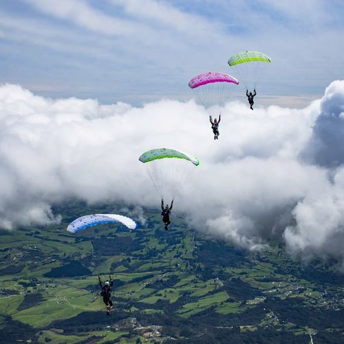 Спортивный парашют - LEIA - NZ Aerosports - рабочая характеристика / одноместный