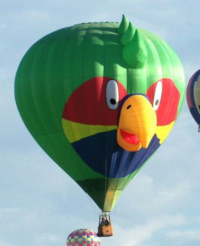 Аэростат для туризма - N series - Cameron Balloons US - для перевозки пассажиров / рекламный / 15 - 25