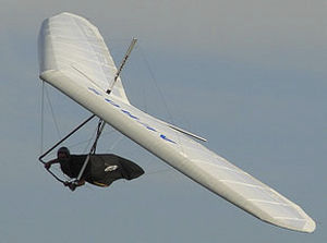 Дельтаплан рабочая характеристика -  DISCUS C  - Aeros Ltd. - тандем