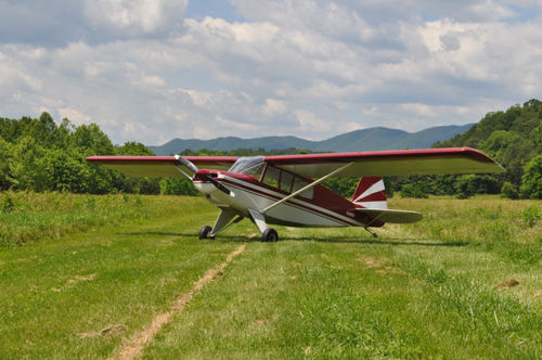 Одномоторный самолет - Bearhawk Aircraft - с поршневым двигателем / двухместный / легкий спортивный