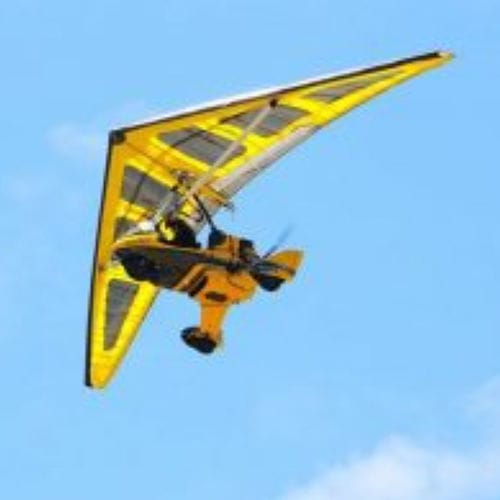 Двухместный дельталет - REVO - REVO Evolution Aircraft, Inc. - четырехтактный двигатель