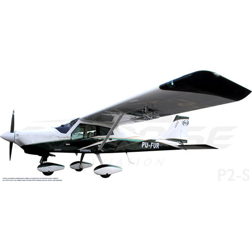 Одномоторный самолет - P2-S - Paradise Industria Aeronautica - четырехтактный двигатель / двухместный / очень легкий