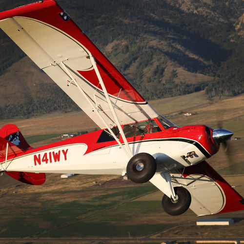 Самолет для туризма - Husky 200 - Aviat Aircraft, Inc. - одномоторный / с поршневым двигателем / 4 места