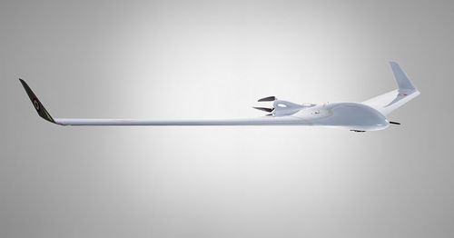 Беспилотник для профессионального использования - Bramor C4EYE - C-Astral Aerospace - для ведения наблюдения / спасательно-поисковый / самолетного типа