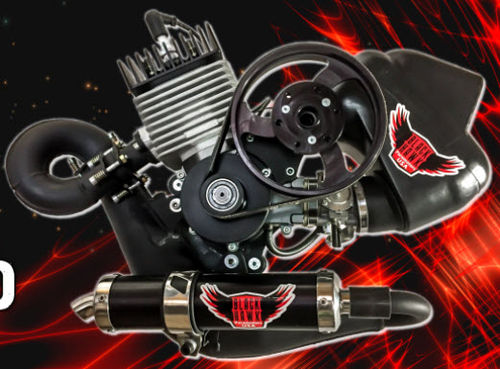 Поршневой двигатель 10 - 50 л.с. - BH125 LITE - Blackhawk Paramotor USA, Inc - 50 - 100 кг / для парамотора / двухтактный