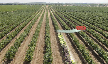 Беспилотник для профессионального использования - drone hopper - DRONE HOPPER - сельскохозяйственный / вертолетного типа