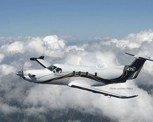 Система антифриз для винта - Pilatus PC-12 - UTC AEROSPACE SYSTEMS GOODRICH DE-ICING - пневматическая / для легкого самолета