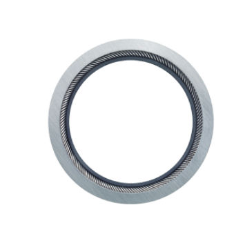 Прокладка из углеродных волокон - Bal Seal Engineering Europe BV - из ПТФЭ / на пружине