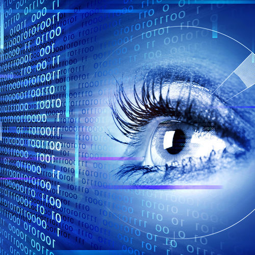 Программное обеспечение для управления - EyeBank® - IrisGuard - для обеспечения безопасности / биометрическое / для распознавания радужной оболочки