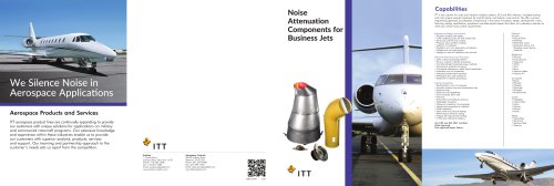 Noise Attenuation and Control for Business Aircraft