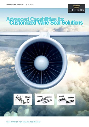 Customized Vane Seal Solutions