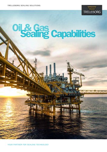 Oil & Gas Sealing Capabilitie