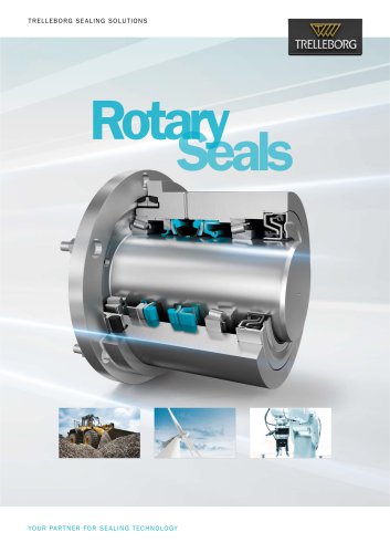 Rotary Seals