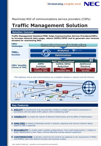 TMS (Traffic Management Solution)