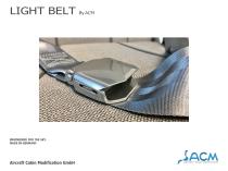 LIGHT BELT