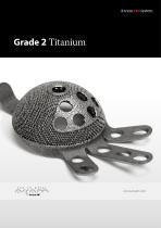 Titanium Grade 2