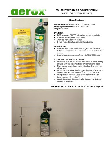 6M Portable oxygen system