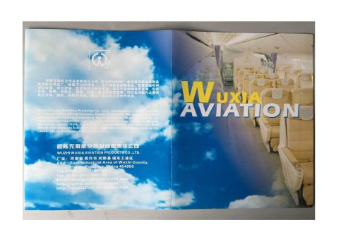 Wuxia Aviation 2006