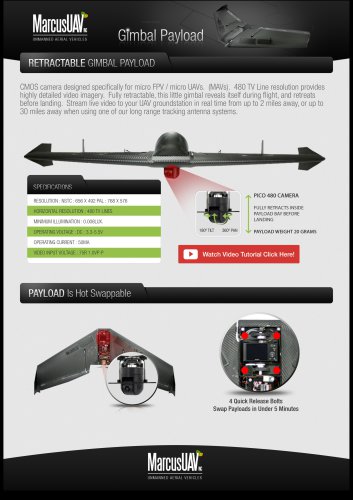 Gimbal payload