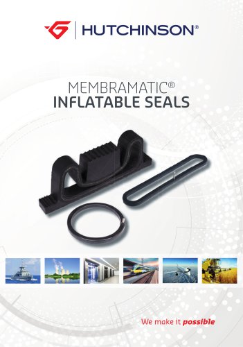 Membramatic® Inflatable seals